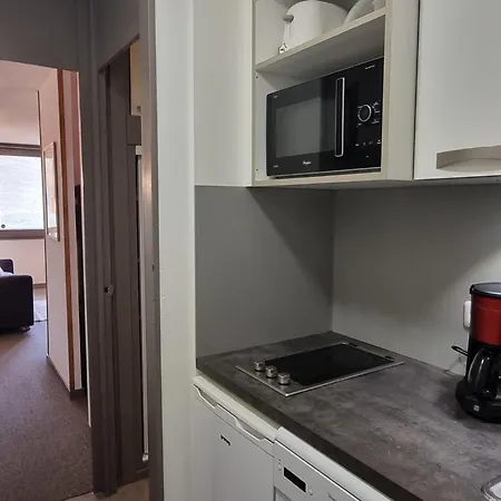 Cosy Au Pied Des Pistes Avec Animaux Admis - Fr-1-181-2570 * La Plagne