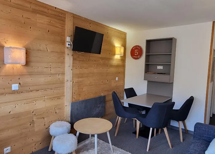 Cosy Au Pied Des Pistes Avec Animaux Admis - Fr-1-181-2570 Apartment La Plagne