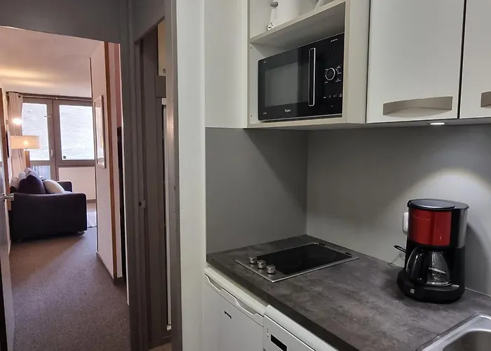 Cosy Au Pied Des Pistes Avec Animaux Admis - Fr-1-181-2570 * La Plagne