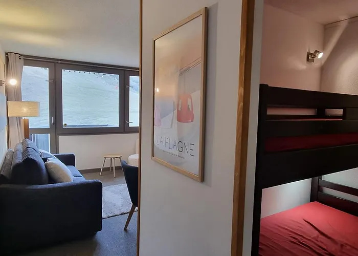 Cosy Au Pied Des Pistes Avec Animaux Admis - Fr-1-181-2570 * La Plagne